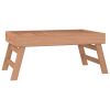 Folding Tray 21.7"x13.8"x9.8" Solid Wood Teak